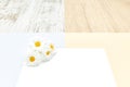 Empty white cards with daisies for invitations. Party concept Royalty Free Stock Photo