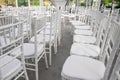 Empty white chairs for guests at a banquet or wedding on an outdoor summer area are in a row. Royalty Free Stock Photo