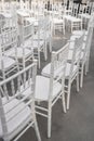 Empty white chairs for guests at a banquet or wedding on an outdoor summer area are in a row. Royalty Free Stock Photo