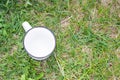 Empty white cup top view on the grass, copyspace Royalty Free Stock Photo