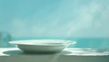 Empty white dish on a ledge overlooking the ocean Royalty Free Stock Photo
