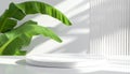 Empty White Display Platform with Tropical Leaves and Soft Sunlight Shadows on Wall podium Royalty Free Stock Photo