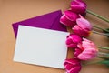 Empty white envelope copy space for your text or design with beautiful pink tulip bouquet on beige background. Template Royalty Free Stock Photo