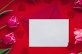 Empty white envelope copy space for your text or design with beautiful pink tulip bouquet on red background. Red small Royalty Free Stock Photo