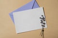 Empty white envelope paper card note template mock up. Copy space for your text. Lavender flower. Greeting or invitation Royalty Free Stock Photo