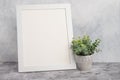 Empty white frame with flower on wall background. The concept of design and font inscriptions and image placement Royalty Free Stock Photo