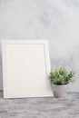 Empty white frame with flower on wall background. The concept of design and font inscriptions and image placement Royalty Free Stock Photo