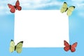 Empty white frame. Four butterflies carry out a empty white paper sheet or card on abstract light blue cloudy sky. Template for