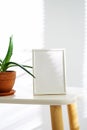 Empty White Frame Mockup on Side Table with Aloe Vera Plant. Modern Interior Decor Royalty Free Stock Photo