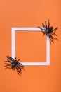 Empty white frame with scary black spider on orange paper. Halloween background layout.