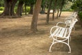 Empty white garden chair Royalty Free Stock Photo