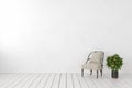 Empty white interior, blank wall with lounge armchair, plant lemon tree.