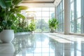 Empty white light hall at the entrance to business center with large windows, lobby of modern clinic with green potted Royalty Free Stock Photo