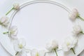 Empty white oval frame with delicate Apple blossoms. blank with flowers. mockup card for womens day wedding Royalty Free Stock Photo