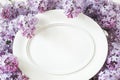 Empty white oval frame with lilac branches. blank with flowers. mockup card for spring womans day