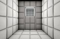 Empty Padded Cell Shut Door