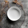 Empty white plate on gray textured surface with dry twigs. Royalty Free Stock Photo