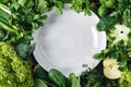 Empty white plate vegetables fruit herbs top view Healthy food ingredients background Royalty Free Stock Photo