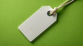 An empty white price tag with a rope loop lies on a green background Royalty Free Stock Photo
