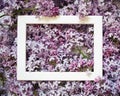 Empty white rectangular frame with lilac branches. blank with flowers. mockup card Royalty Free Stock Photo