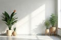 Empty white room features various green potted plants. Sunlight creates bright patterns on minimal white wall, polished marble Royalty Free Stock Photo