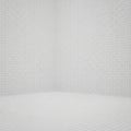 Empty White Room with Grid Pattern on Walls and Floor interior space Royalty Free Stock Photo