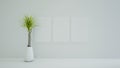 Empty white room interior with Dragon Tree plant in a white pot and three posters mockup on the wall, day light Royalty Free Stock Photo