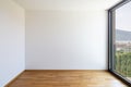 Empty white room with light parquet and window overlooking Lake Maggiore