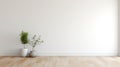 Empty White Room With Plants In A White Vase - 3d Rendering