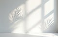 Empty white room with soft shadows from palm leaves, window blinds. Sunlight streams through window casting geometric shapes. Royalty Free Stock Photo
