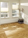 Empty white room with wood floor and sunlite