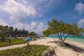 Empty White Sandy Beach with the Palm Trees and Blue Ocean Water on the Paradise Maafushi Island Royalty Free Stock Photo