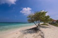 Empty White Sandy Beach with the Palm Trees and Blue Ocean Water on the Paradise Maafushi Island Royalty Free Stock Photo