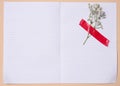 Empty white sheet of paper and gypsophilia flowers on a beige background, space for an inscription