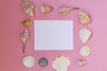 Empty white sheet of paper for text on a pink background. Background with shells and pebbles. Royalty Free Stock Photo
