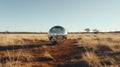 Dreamlike Imagery: A Whimsical Wilderness In Chrome-plated Australian Landscape