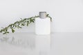 Empty white square bottle of perfume, gel, green branch of a plant on a white background with reflection, form, empty mock up, Royalty Free Stock Photo