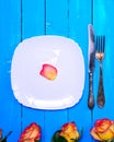 Empty white square plate and metal knife and fork Royalty Free Stock Photo