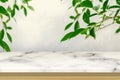 White Stone Marble Tabletop with green Leaf and Shadow on white concreate wall background