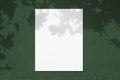 Empty white vertical rectangle poster mockup with leaves shadows Royalty Free Stock Photo