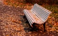 Empty white wooden bench and autumn leaves on it in the park.Golden autumn Royalty Free Stock Photo