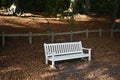 An empty white wooden bench in autumn park. Royalty Free Stock Photo