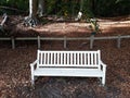 An empty white wooden bench in autumn park. Royalty Free Stock Photo