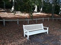 An empty white wooden bench in autumn park. Royalty Free Stock Photo