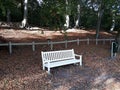 An empty white wooden bench in autumn park. Royalty Free Stock Photo