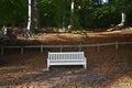 An empty white wooden bench in autumn park. Royalty Free Stock Photo