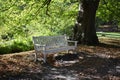 An empty white wooden bench in autumn park. Royalty Free Stock Photo