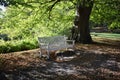 An empty white wooden bench in autumn park. Royalty Free Stock Photo