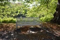 An empty white wooden bench in autumn park. Royalty Free Stock Photo