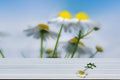 Empty white wooden table on summer landscape blur background with large white field daisies, light soft blue sky Royalty Free Stock Photo